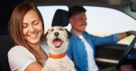 ¿Cuánto cuesta tener un perrhijo o gathijo en México?